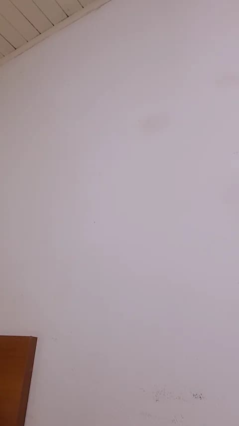 Premium: Bellaju HD (58 min) - March 19, 2026 03:18