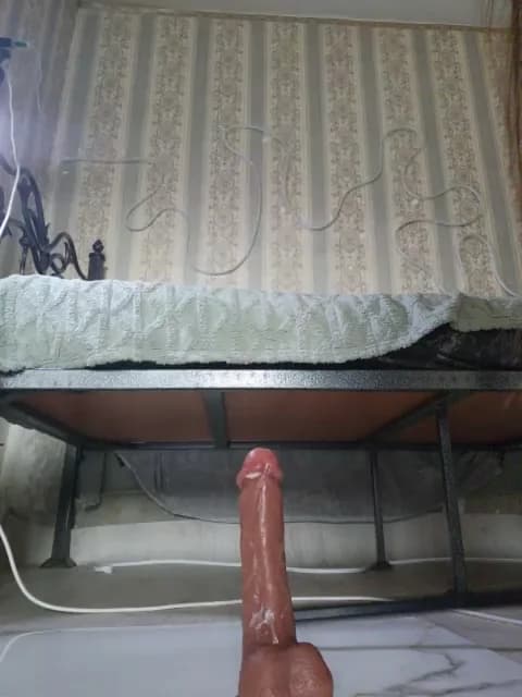 Premium: Gentlyplease1 HD (54 min) - April 5, 2026 05:10