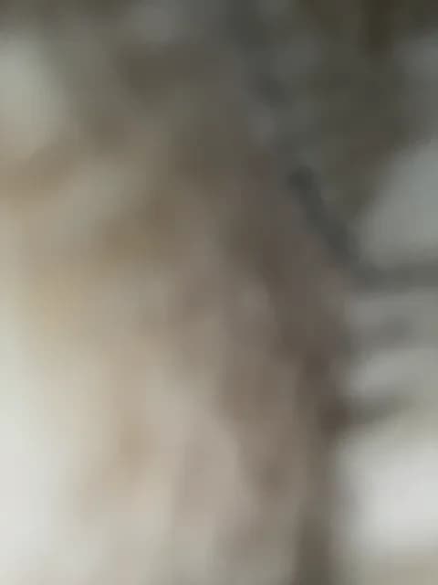 Premium: KARASEVDAKINOGO HD (78 min) - February 4, 2026 10:25