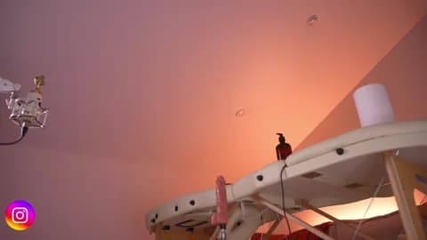 Premium: Lilevame HD (120 min) - January 17, 2026 19:58