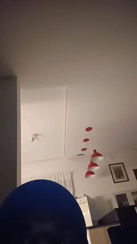 Premium: PeludassoBaiano HD (32 min) - April 18, 2026 03:29