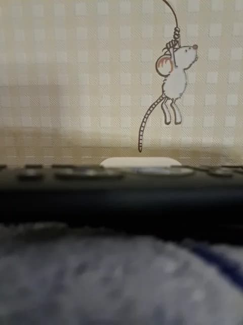 Premium: SweetPraGG HD (36 min) - February 2, 2026 23:09