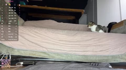 Premium: SweetSakuraJane HD (83 min) - April 1, 2026 02:33