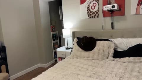 Premium: camilaaa15 HD (50 min) - January 11, 2026 04:06