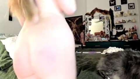 Premium: eve003300 HD (90 min) - February 21, 2026 04:17