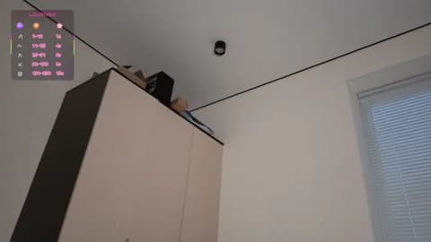 Premium: hoaarisa HD (31 min) - January 17, 2026 14:05