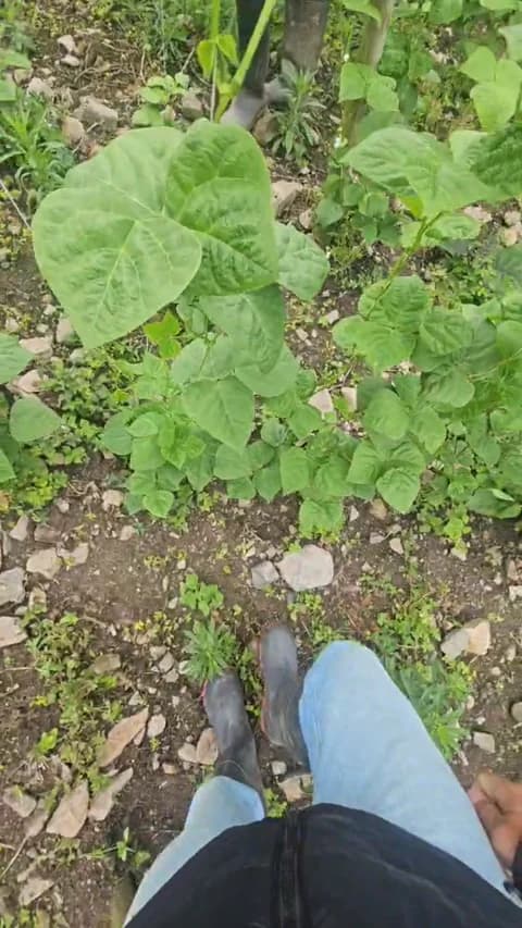 Premium: jo23_xxx HD (41 min) - April 9, 2026 16:46