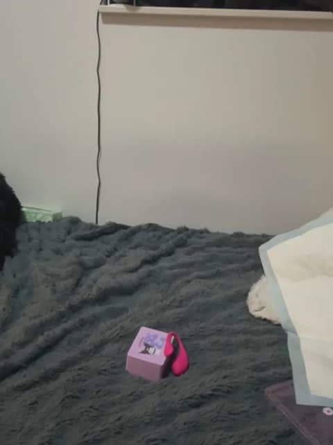 Premium: jura_xxx HD (31 min) - May 7, 2026 11:48