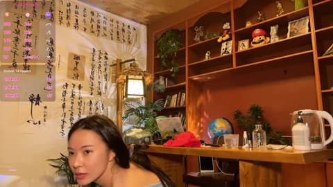 Premium: meowLili HD (62 min) - April 12, 2026 14:13