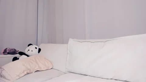 Premium: rina_tv HD (41 min) - January 12, 2026 01:28