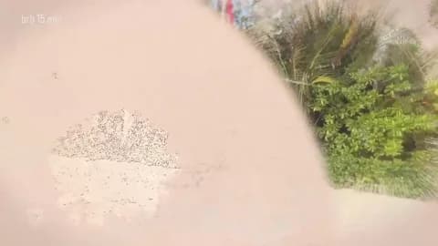 Premium: taanni_bc HD (76 min) - January 16, 2026 10:19