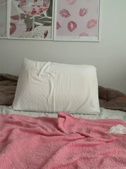 Premium: truthforliess HD (37 min) - April 18, 2026 07:08