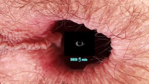 Premium: your-red-wine HD (120 min) - March 26, 2026 21:41